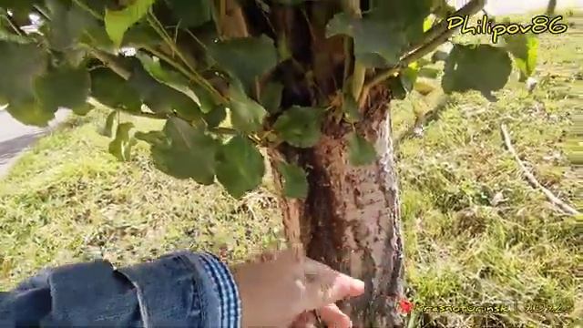 Краснотурьинск сегодня | 9.09.23 смотреть онлайн