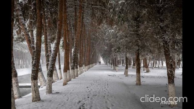Константин Линович vs Егор Ковайков - Первый снег смотреть онлайн