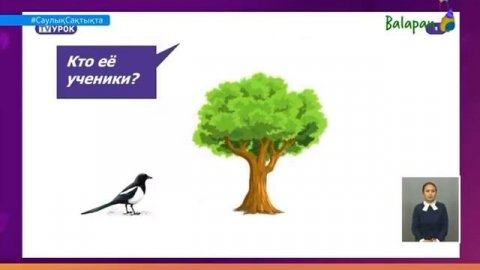 Русский язык 3класс 2урок. Уроки живой природы