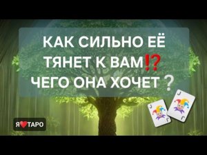 Как сильно её тянет к вам⁉️❤️ расклад таро для мужчин| гадание на картах