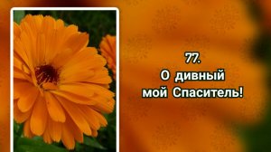 Гимны надежды 77 О дивный мой Спаситель (-)