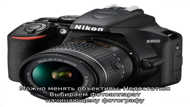 Лучший любительский фотоаппарат: критерии выбора и главные отличия