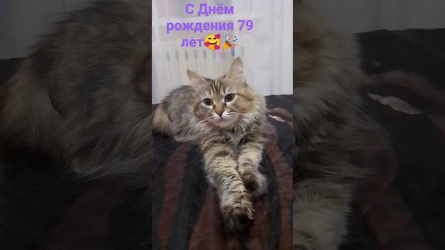 #cat #shortsvideo #shortvideo #котики #озвучка С Днём рождения 🥰 79 лет смотреть онлайн