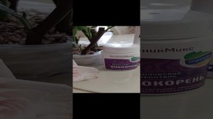 Черенкование розы из букета)