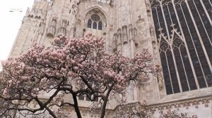 Duomo di Milano The Cathedral of Milan. Красота, которая была везде...