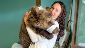 Делаем операцию СПАСЕННЫМ МЕДВЕДЯМ