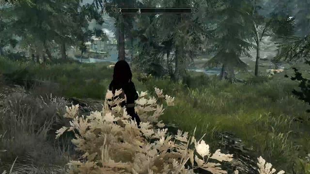 Skyrim: Blacktalon Armor set (UNP)