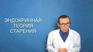 Почему человек стареет и как продлить молодость