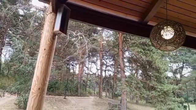 КИСЛОВОДСК  2024 ПРОГУЛКА ПО ПАРКУ ДО КАСКАДНОЙ ЛЕСТНИЦЫ.