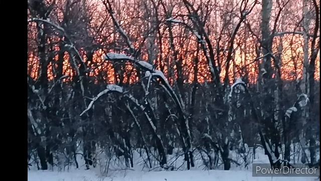 29 декабря праздник АГЕЕВ ДЕНЬ. Что категорически нельзя делать в этот день.