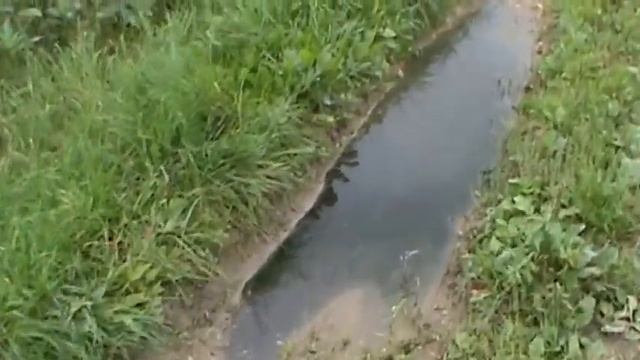 Экологический коллапс!!!!!! смотреть онлайн