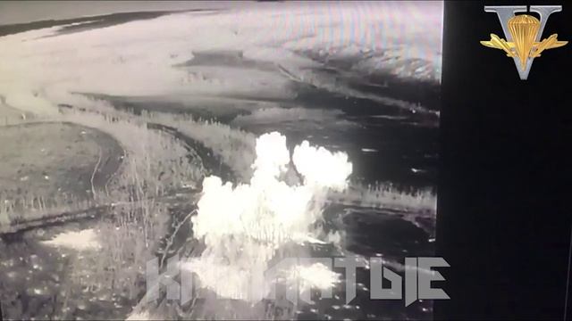 Лесопосадка, сожженная солнцепеком смотреть онлайн