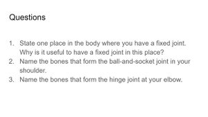 The human skeleton/Скелет человека (на английском языке)