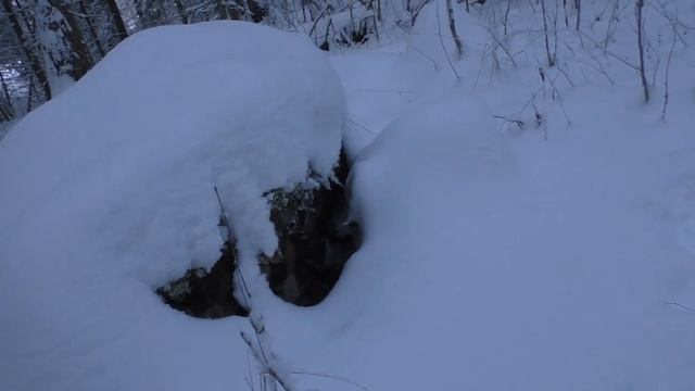 Поход в лес с ночёвкой,быт в избушке Ч.2.(Hiking in the forest with an overnight stay) смотреть онлайн