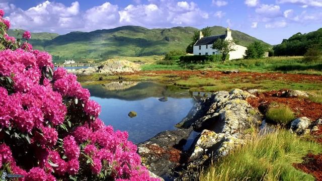 Поменялись с родителями квартирами, а теперь они недовольны и хотят вернуть все обратно. смотреть онлайн