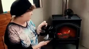Печной вентилятор ?