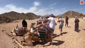 НА КВАДРОЦИКЛАХ ПО ПУСТЫНЕ!!!ХУРГАДА 2019!