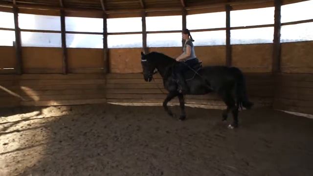 Кокетка. Сокращённая рысь, рабочая рысь. смотреть онлайн