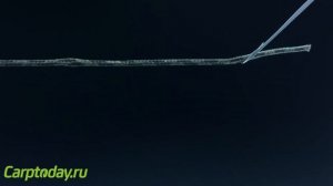 Как связать лидкор. Снасти для карпа. Карпфишинг для начинающих.