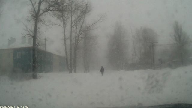 сюрпризы природы...
