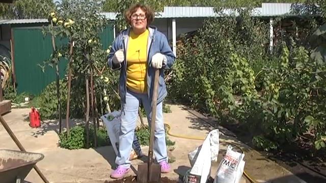 Подробная инструкция по посадке яблонь. смотреть онлайн