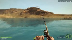 Chanel Catfish Powell Lake - Ultimate Fishing Simulator