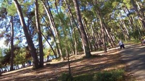 Абхазия. Лидзава, Агрба 26а. Дорога к морю. Часть 5