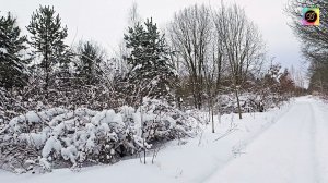 8 минут фантастической музыки