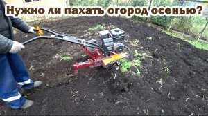 Пахать или не пахать землю осенью?