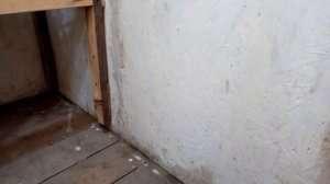 Курятник. Как просушить влажные углы в курятнике.