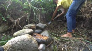 Orphan Girl Goes To The Forest Harvest Fish and Snails To Sell - Homeless Life, Free Bushcraft