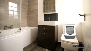 Кошачий туалет, как выбрать лучший  – мой опыт подбора оптимального лотка для домашнего питомца