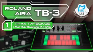 Roland AIRA TB-3. Практическое использование (часть 1)