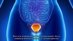 Пальпация мочевого пузыря