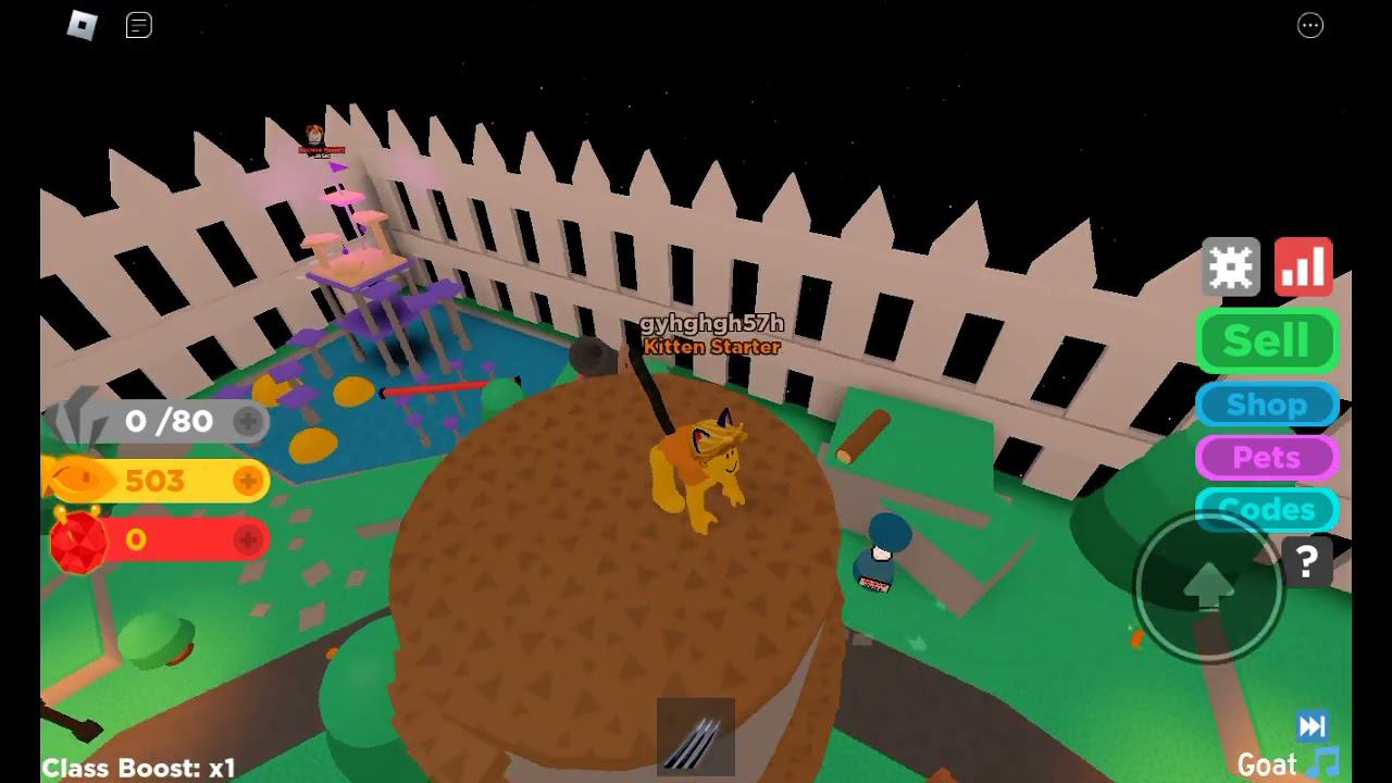 Играем в Роблокс Симулятор Кота ⬛| Cat Simulator Roblox
