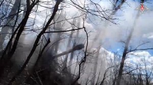 ⚡️ Заявления представителей группировок «Запад», «Юг», «Центр», «Восток» и «Днепр» о ходе проведения