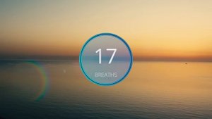 Wim Hof Guided Breathing Session - 4 Rounds For Beginners No Talking