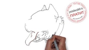 Как рисовать красивую собаку  Как ПРОСТО нарисовать собаку