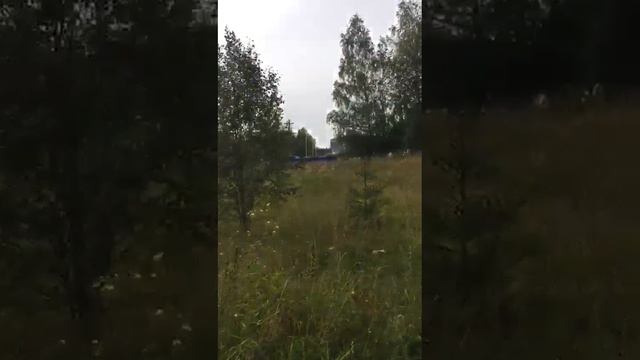 Продажа земельного участка по адресу: Владимирская область, Александровский район, урочище Петрово.