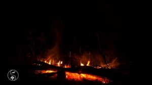 Огонь, Костер Разносит Звуки Треска Поленьев   Дрова Горят  на Природе в Летнюю Ночь, Котелок кипит