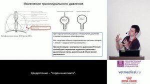 Дородных Ю. С. - Основы анестезиологического пособия при операциях в области средостения.mp4