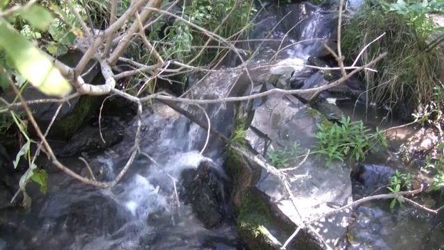 Поход на "Навуходоносоре" по Иртыш-реке | Залив одинокого паука смотреть онлайн