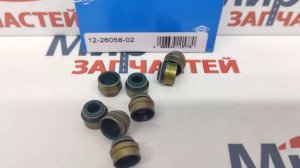 Комплект колпачков маслосъемных Renault