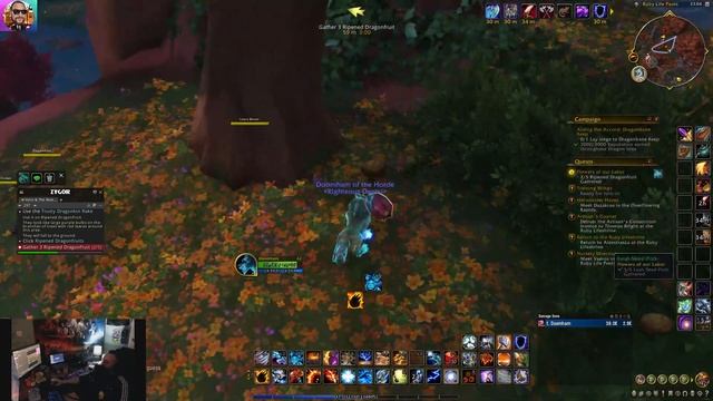 Horde Shaman Enhancement: World of Warcraft Dragonflight . смотреть онлайн