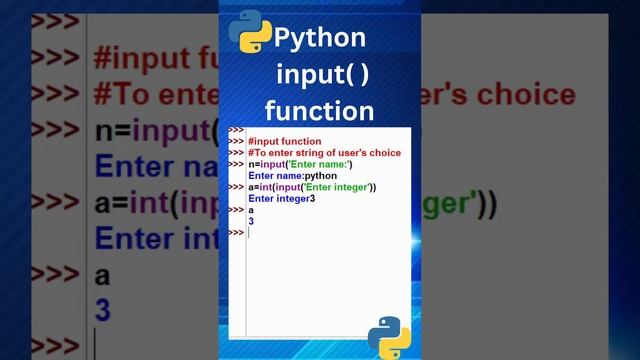 input function in python