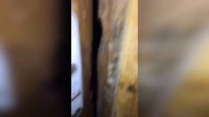 база отдыха ТРИ ОЗЕРА 092021 Омская область
