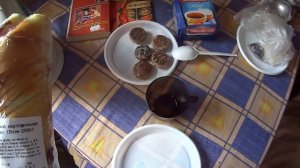 День на даче. Новый гость моего сада - бирючина золотая.