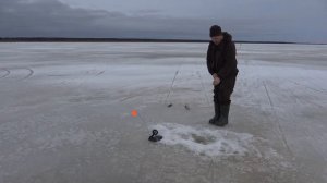 Сапоги Torvi  на озере Воже Вологодская область