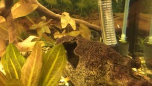 Вливаю Сайдекс Эксперимент. Часть 1