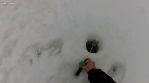 Зимняя рыбалка на ХАРИУСА!Рыбалка в Коми на таёжной реке.Два хариуса на одну удочку,рыбалка удалась